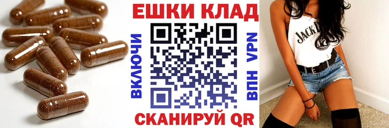 Купить закладки  Кировск  Ecstasy Cube 