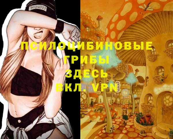 альфа пвп Нефтегорск