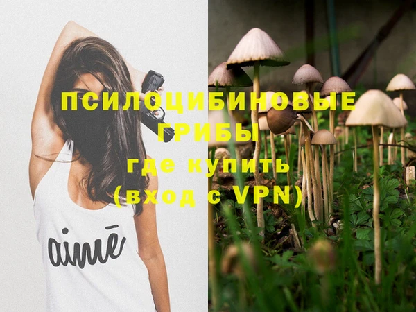 ешки Нефтекумск