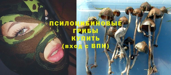 ешки Нефтекумск