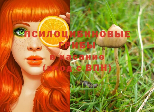 альфа пвп Нефтегорск