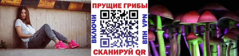 Купить закладки  Кировск  Галлюциногенные грибы Magic Shrooms 
